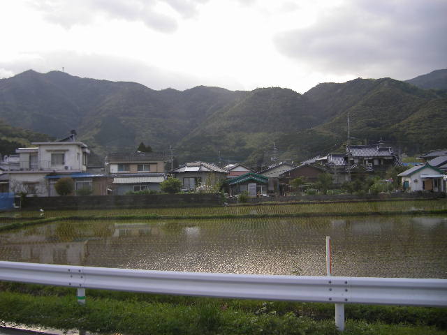 rice-paddy-kitaura.jpg