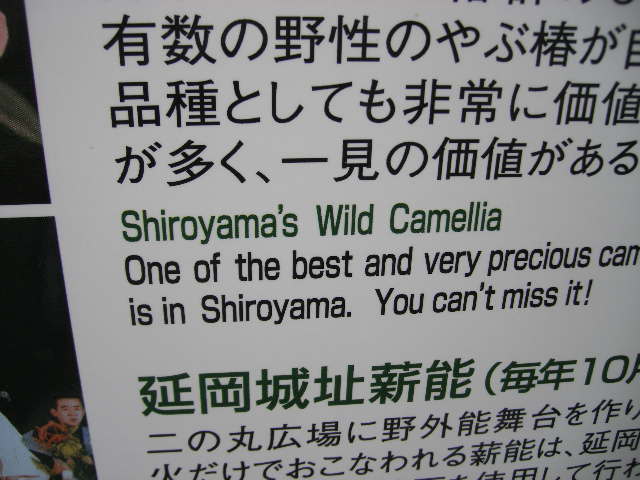 shiroyama-wild-camellia.jpg
